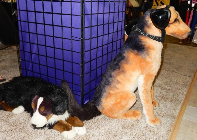 Hund mit Kopfhörer-Schutzz