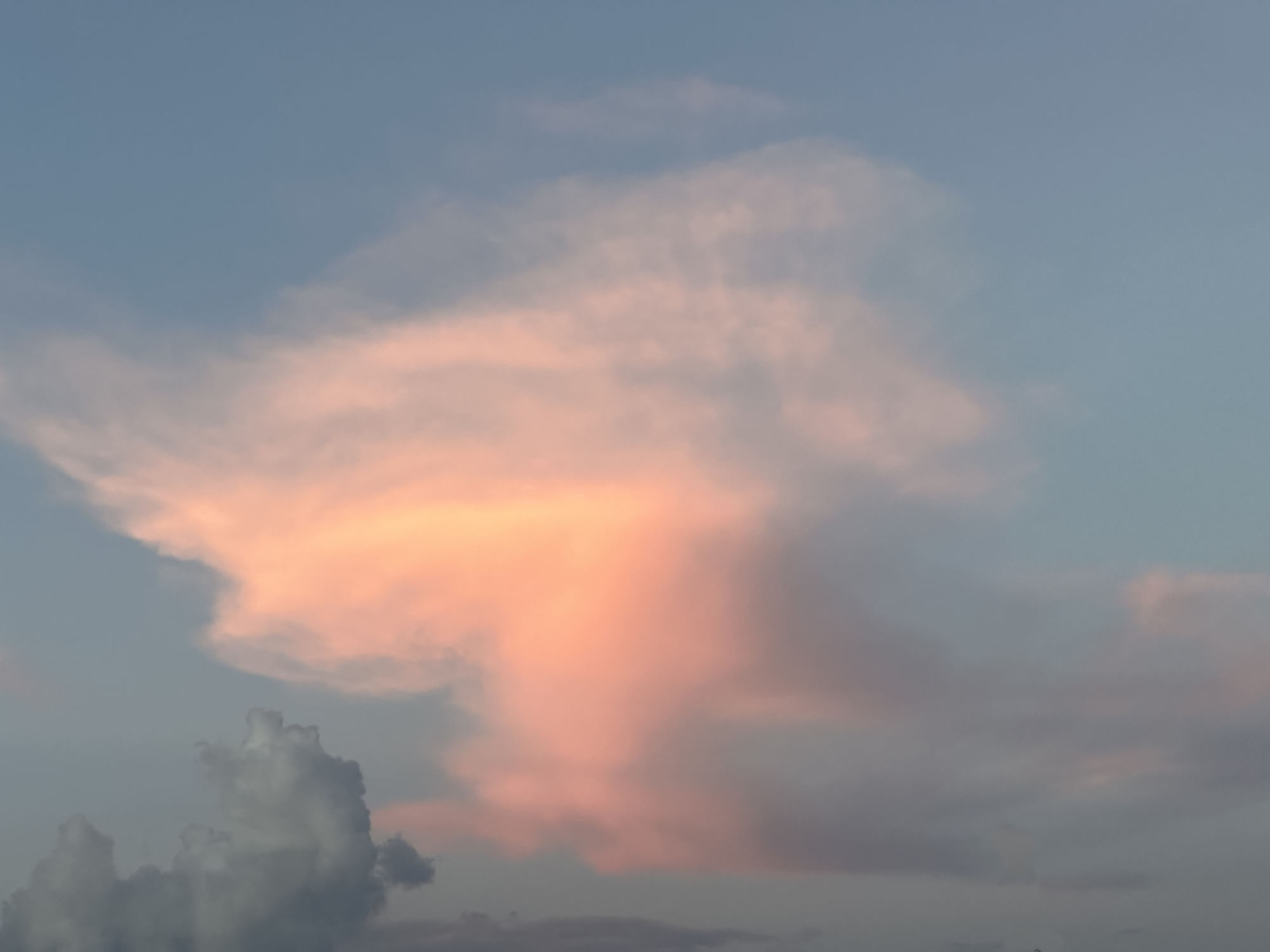 Tod durch Turbulenz im Flugzeug