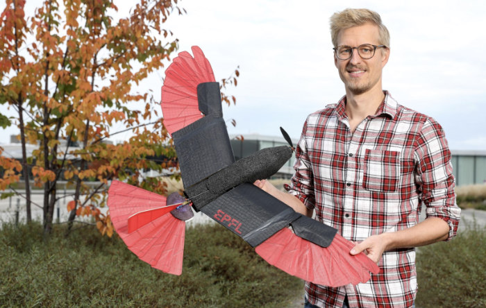 Der Habicht und der Drohnenflug