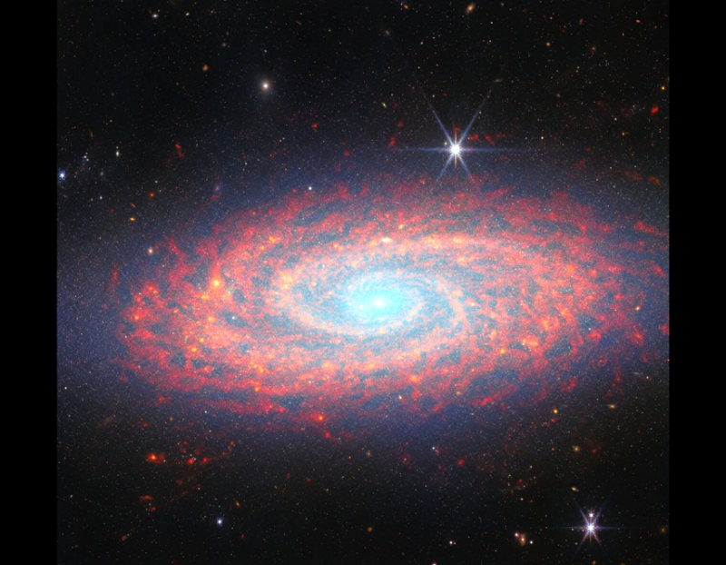 Urknall in Frankfurt